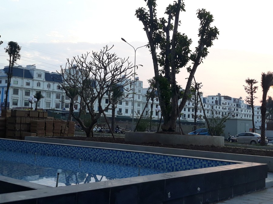 Cần cho thuê gấp căn hộ 2 phòng ngủ khu Green Star Phạm Văn Đồng, giá chỉ 6tr
