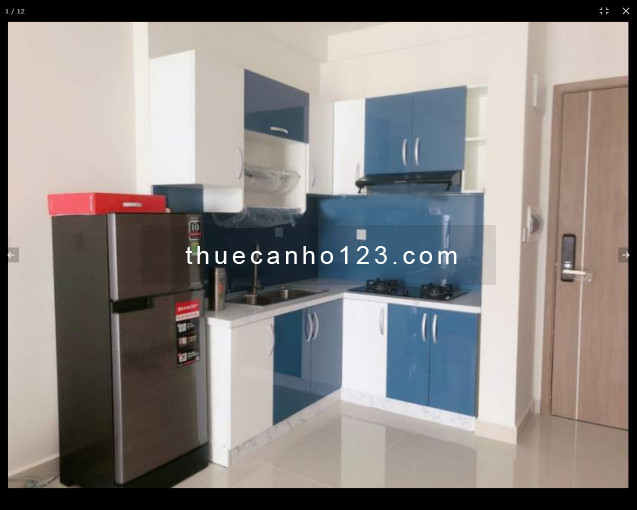Gia đình cho thuê căn hộ mới 100%, cc Richstar Tân Phú, dt 70m2, giá 10 triệu/tháng