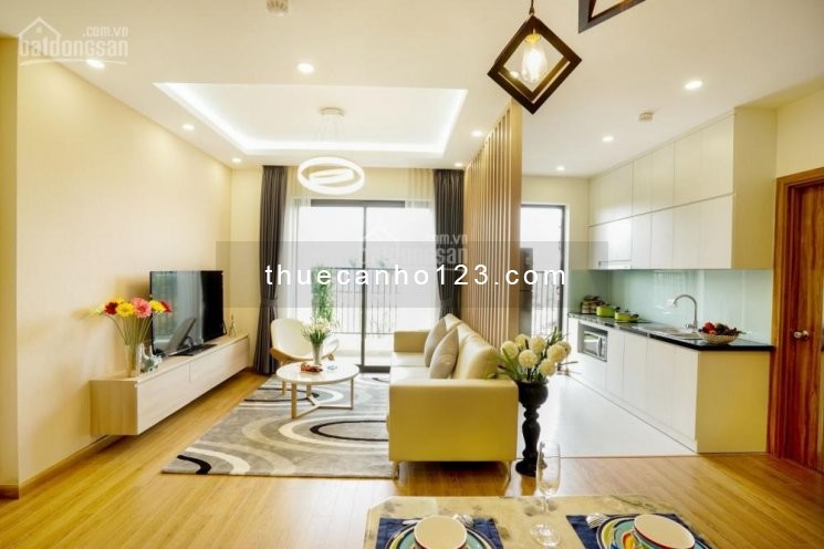 Trống căn hộ tầng cao cc Him Lam Chợ Lớn, dt 97m2, 2 PN, có nội thất, giá 10 triệu/tháng