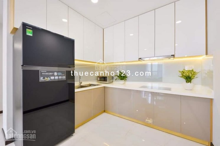 Chung cư Celadon Tân Phú có căn hộ rộng 70m2, có nội thất, cho thuê giá 10 tiệu/tháng