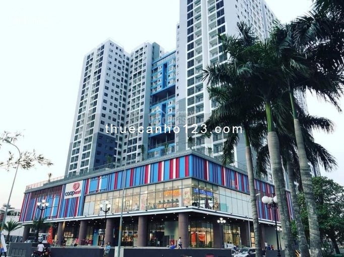 Vừa nhận căn hộ rộng 62m2, 2 PN, tầng cao, view đẹp, cc Sài Gòn Avenue cho thuê giá 6.5 triệu/tháng