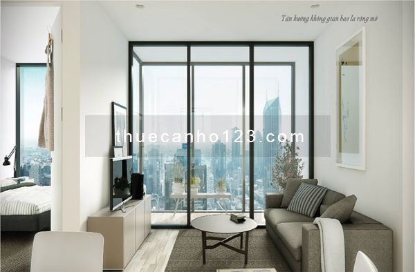 Cho thuê căn hộ chung cư Central Plaza - 91 Phạm Văn Hai, 58m2, 2PN, 2WC, Giá thuê 11 triệu/tháng