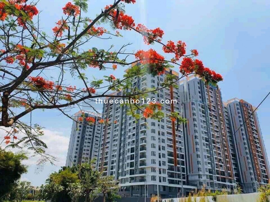 Hot cho thuê nhiều căn Safira Khang Điền, giá chỉ 6,5 triệu/tháng, liên hệ ngay 0906244927