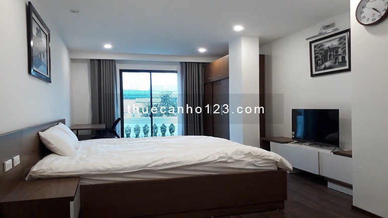 Cho thuê căn hộ dịch vụ tại Cát Linh, Đống Đa, 40m2, studio, nội thất mới hiện đại