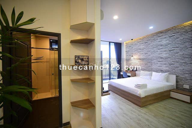 Cho thuê căn hộ Nguyễn Cư Trinh, Q1 45m2, 1PN mới xây, giá 4.5tr/tháng