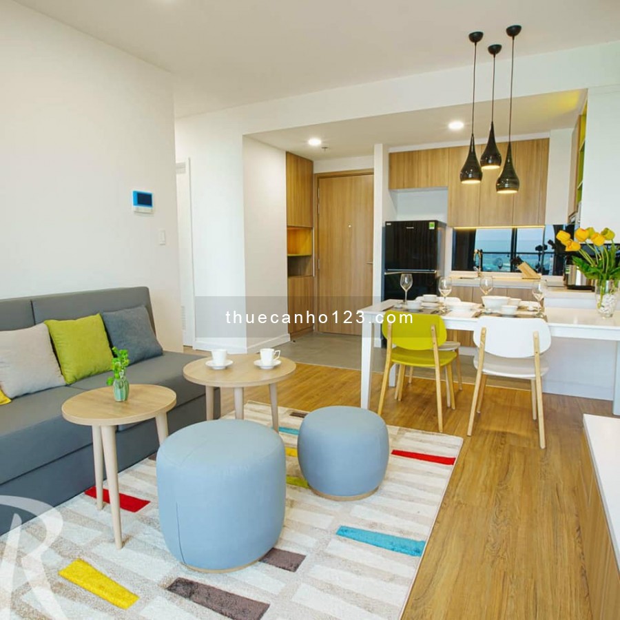 Cần cho thuê gấp căn hộ tại chung cư cao cấp Republic Plaza dt 52m2 1PN, 1WC nội thất full.