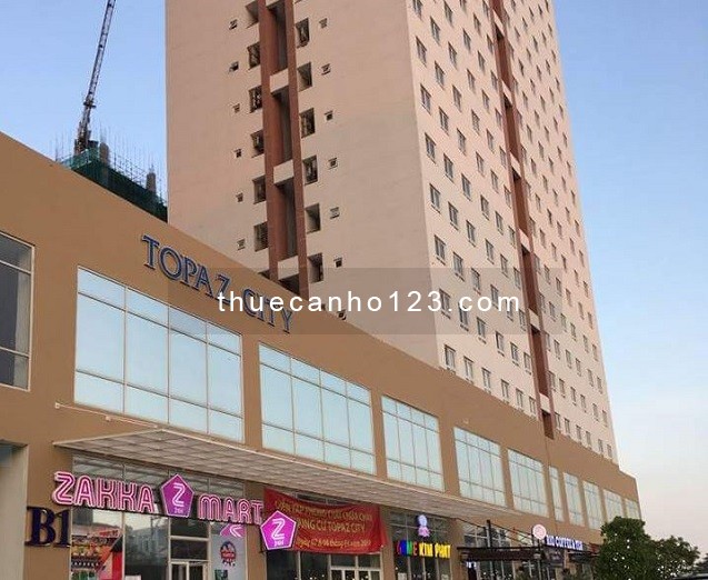 Tổng quan thông tin căn hộ chung cư Topaz City Quận 8