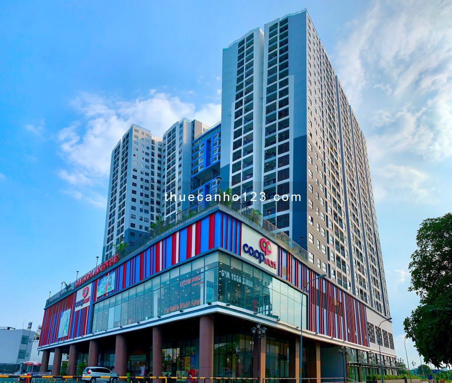 Cho thuê căn hộ Saigon Avenue nhận tầng đẹp view đẹp