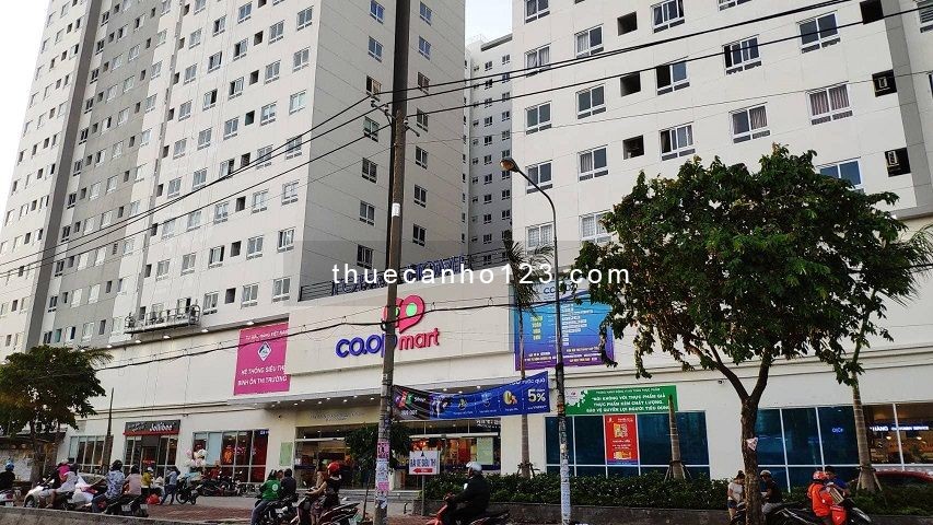 Chính Chủ Cho Thuê Chung Cư Topaz Home Quận 12 -2 PN Giá 5tr5