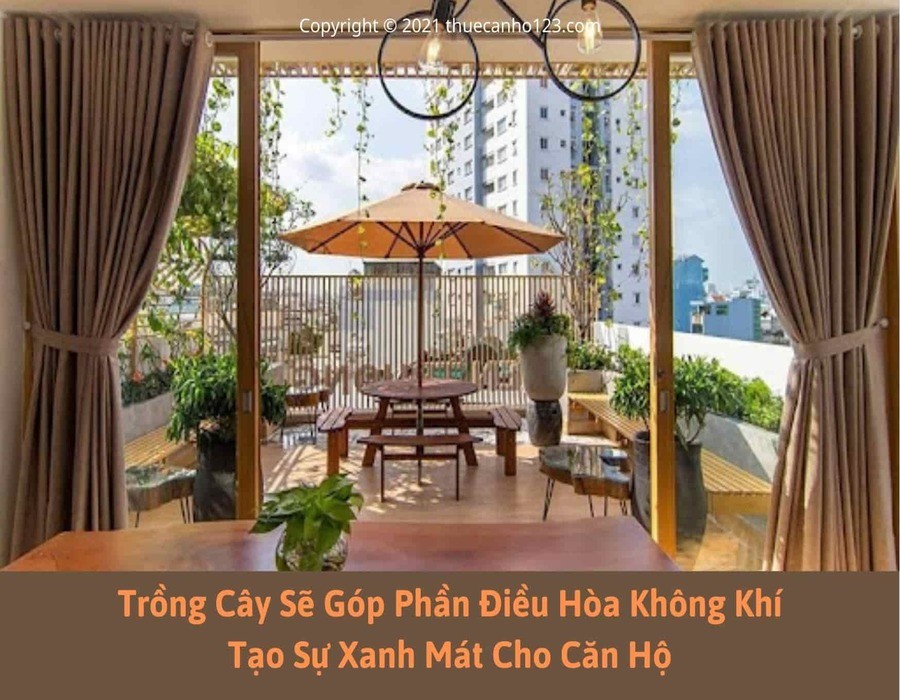 Trồng cây sẽ góp phần điều hòa không khí, tạo sự xanh mát cho căn hộ