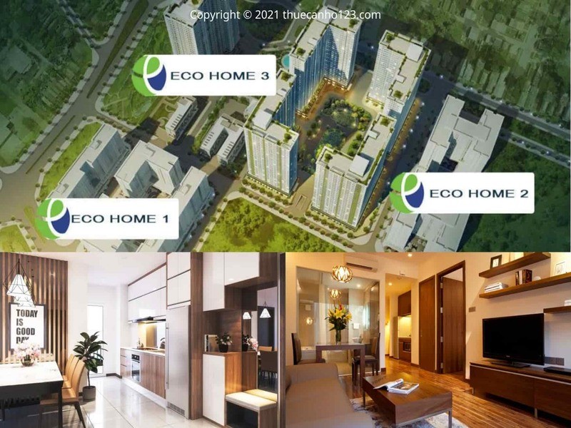 Dự án căn hộ chung cư cho thuê Ecohome 1, 2, 3