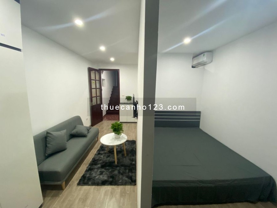 Cho thuê căn hộ mini tại Nguyễn Ngọc Vũ , Cầu Giấy căn 1 phòng ngủ, 1 phòng khách