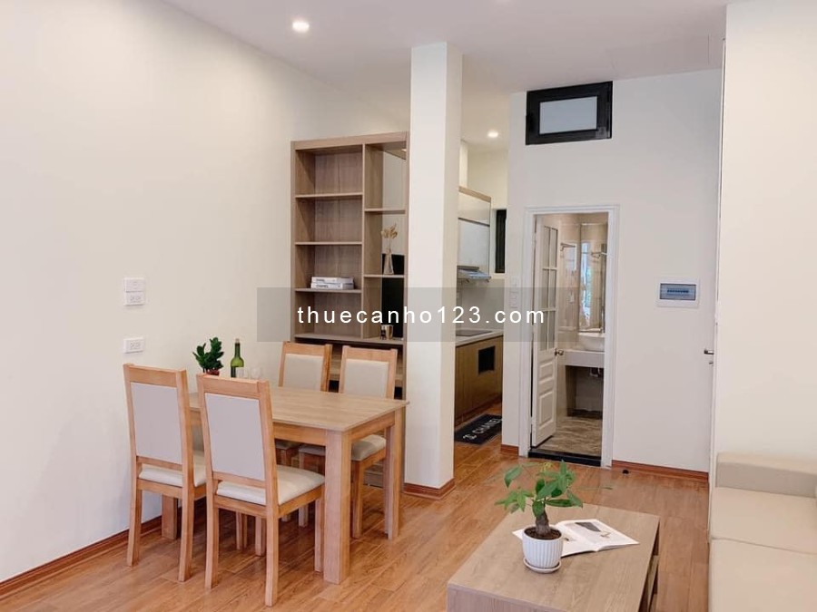 Cho thuê căn hộ mini mới tinh đủ nội thất cao cấp có ban công thoáng mát tại trung tâm Quận Ba Đình