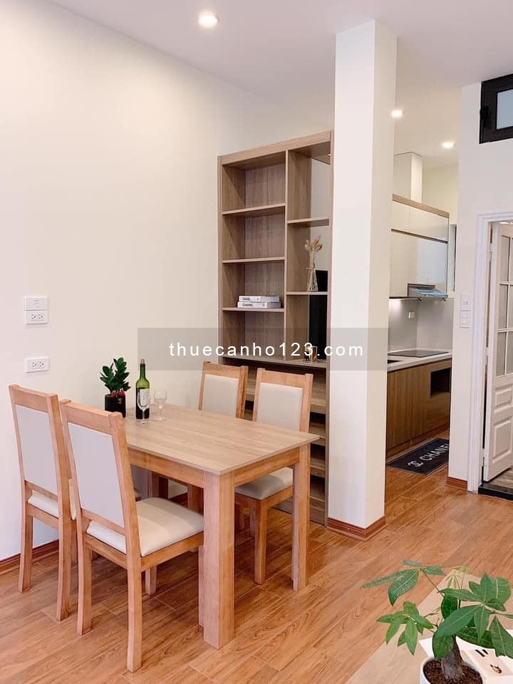 Cho thuê căn hộ mini cao cấp mới tinh đầy đủ tiện nghi nội thất tại 28A Phạm Hồng Thái, Ba Đình