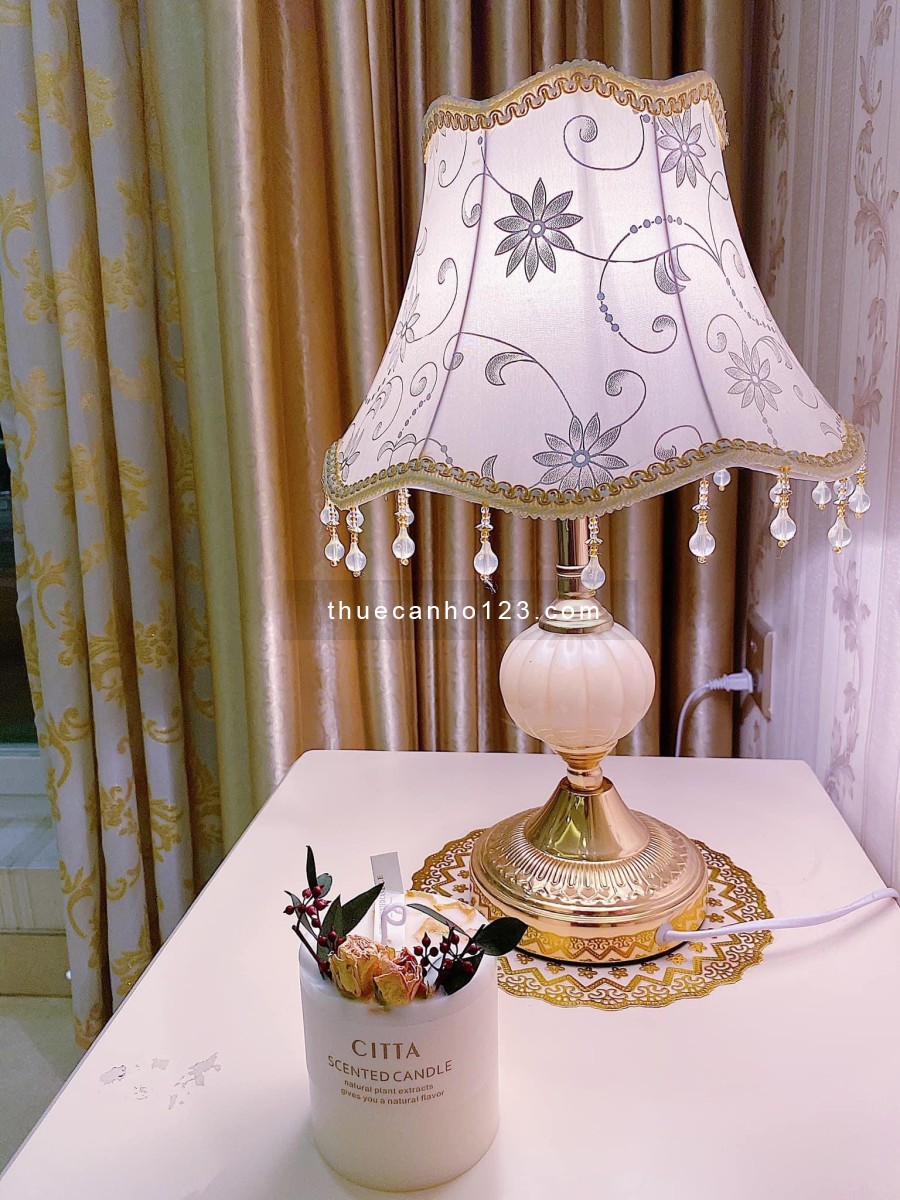 Cho thuê căn hộ cao cấp, full nội thất trên đường Lê Lai trung tâm Quận 1