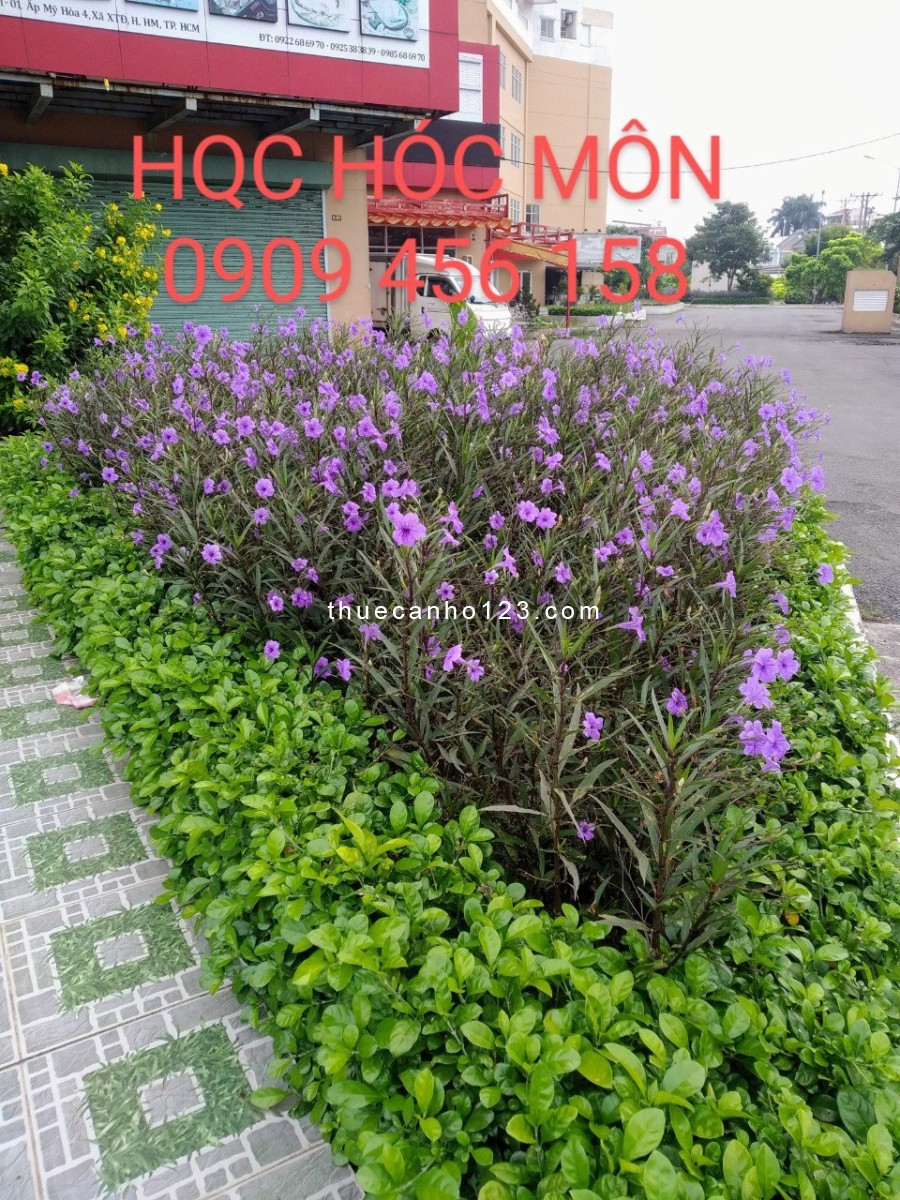 Cho thuê căn hộ 60m2, 2PN HQC Hóc Môn giá 4.5tr/tháng. LH 0909.456.158