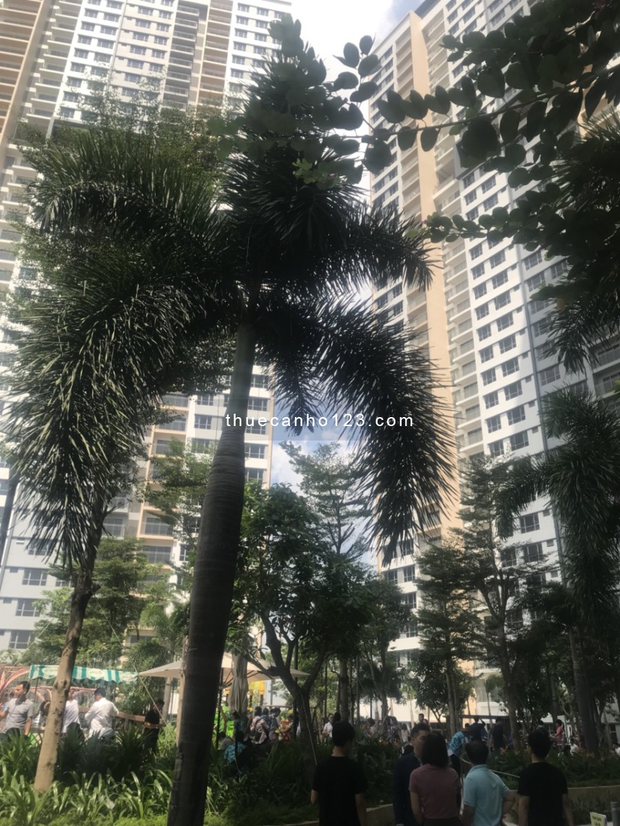 Cho thuê gấp căn hộ 2PN - 80m2 Palm Heights do cần tiền ngay