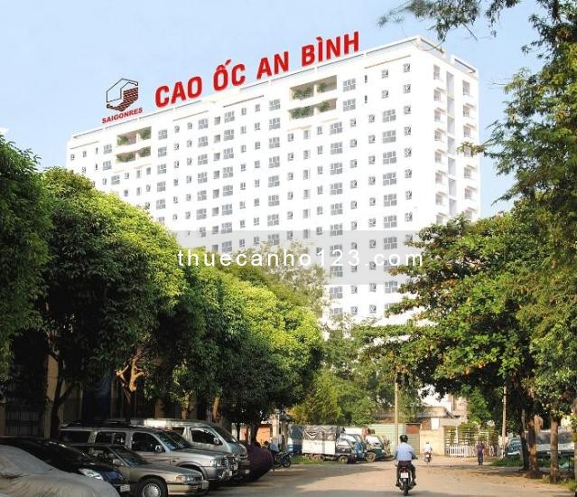 Cho thuê căn hộ An Bình 2PN Q Tân Phú giá 9tr/tháng