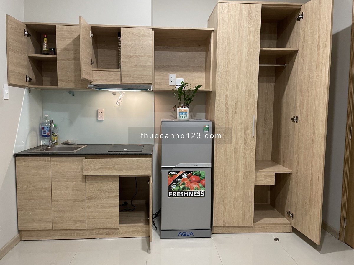 Cho Thuê Căn hộ NGAY gần Landmart81-Phú Mỹ-P22-Bình Thạnh