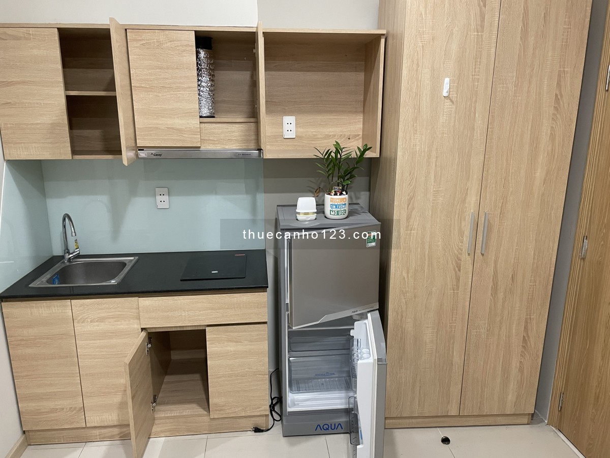 Cho Thuê Căn hộ NGAY gần Landmart81-Phú Mỹ-P22-Bình Thạnh