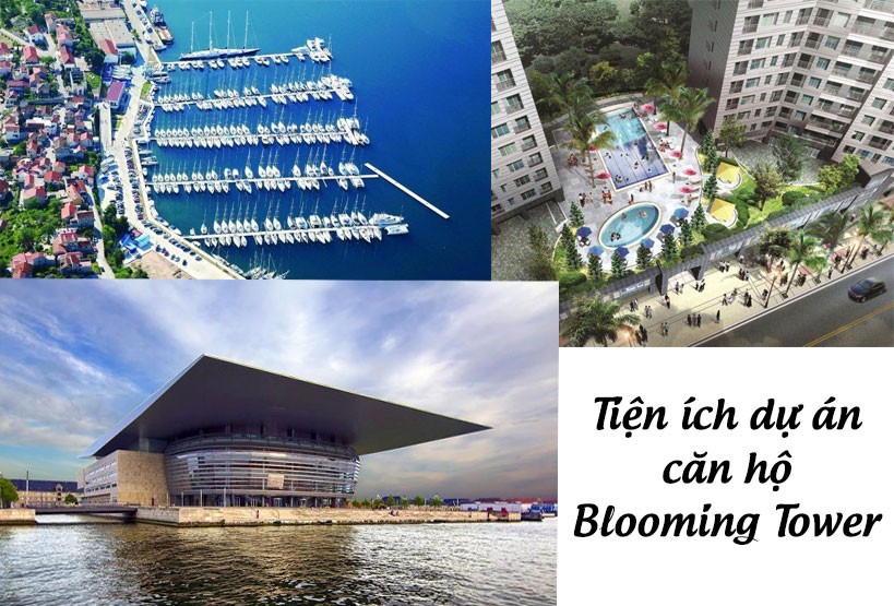 Vị trí địa lý căn hộ Blooming Tower