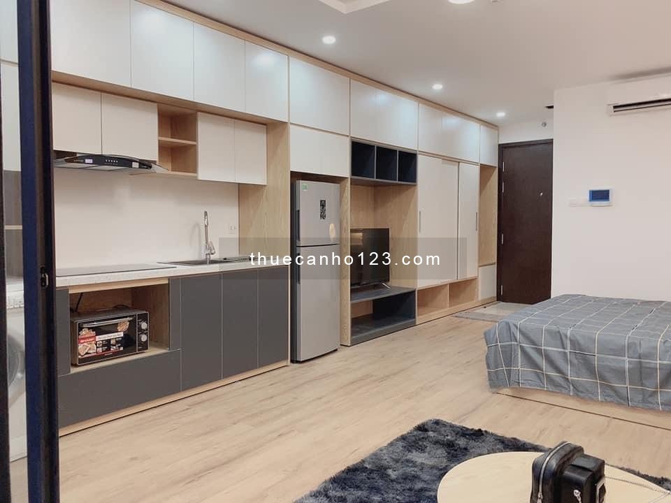 Cho thuê căn Full nội thất Studio, 1.5 ngủ, 2 ngủ, 3 ngủ giá từ 10tr Vinhomes D'capitale