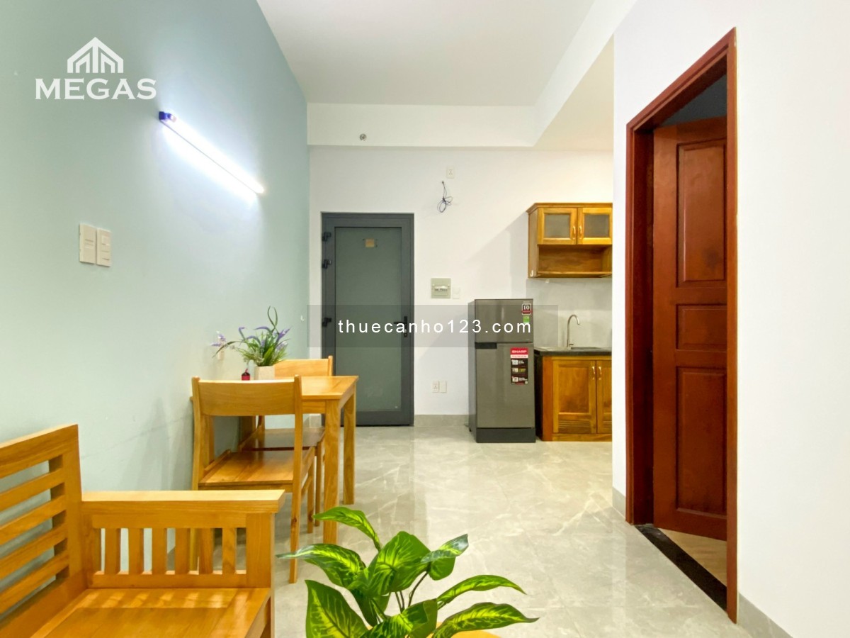 Cho thuê căn hộ 1pn full nội thất ngay trung tâm Quận 2