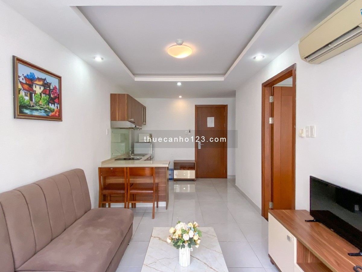 Căn hộ 1pn 50m2 free dịch vụ Phú Mỹ Hưng gần Đh Rmit, Crescent Mall, Sc Vivo Quận 7