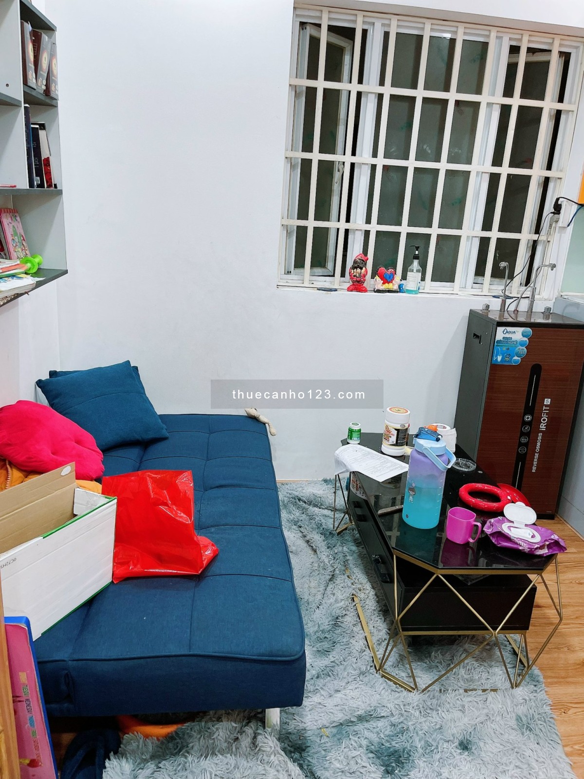 Cho thuê căn hộ chung cư Thái Sơn, đường Lộ Tẻ 2 PN, Full nội thất như hình 7tr Quận Bình Tân