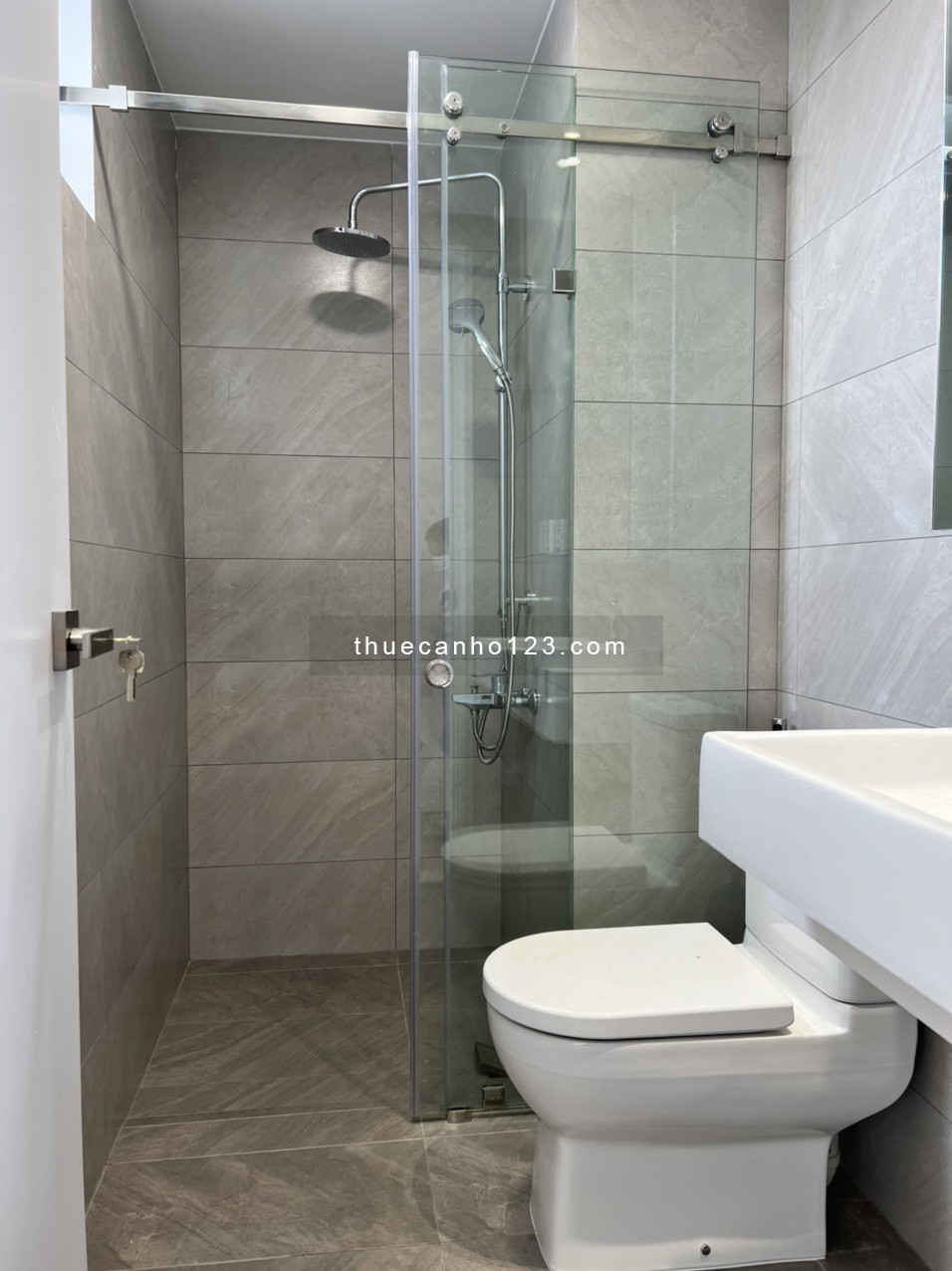 Chuyên cho thuê căn hộ D'LUSSO