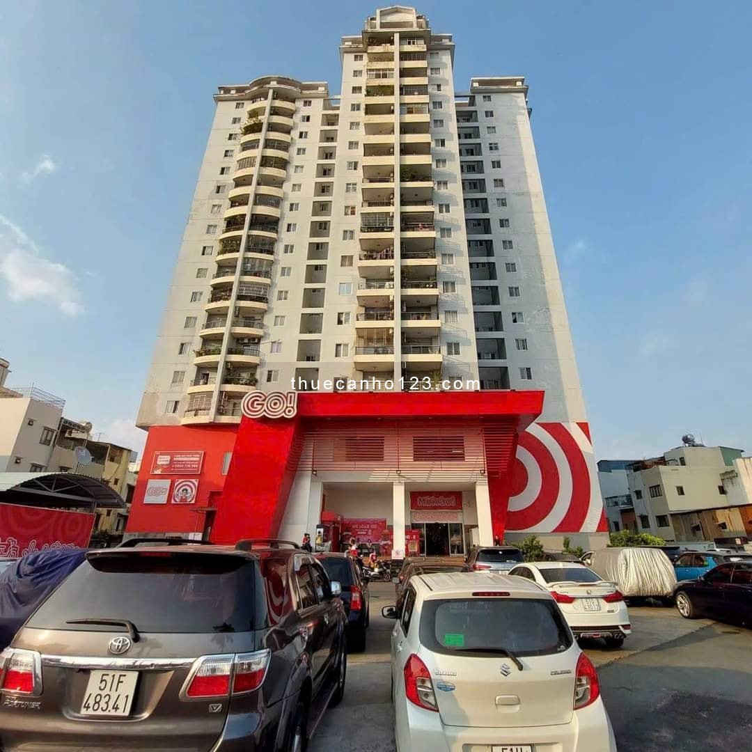 Cho thuê căn hộ 3PN chung cư cao cấp Phú Thạnh 53 Nguyễn Sơn Quận Tân Phú.