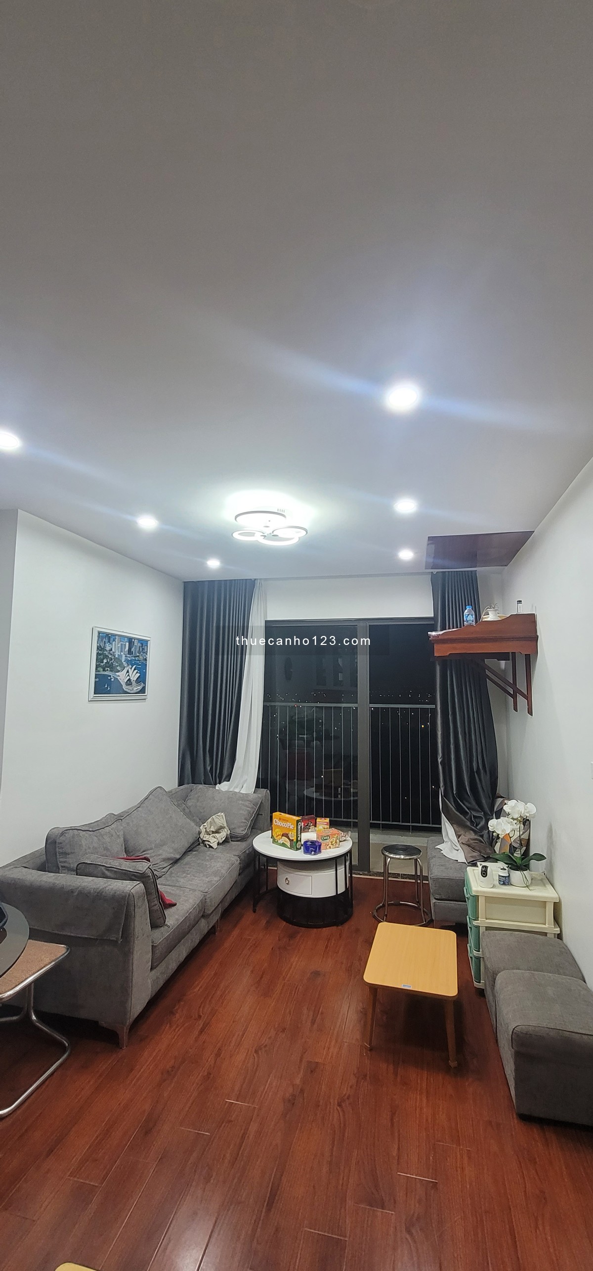 Cho thuê căn hộ 2 ngủ full nội thất tại chung cư Đồng PHát Park View