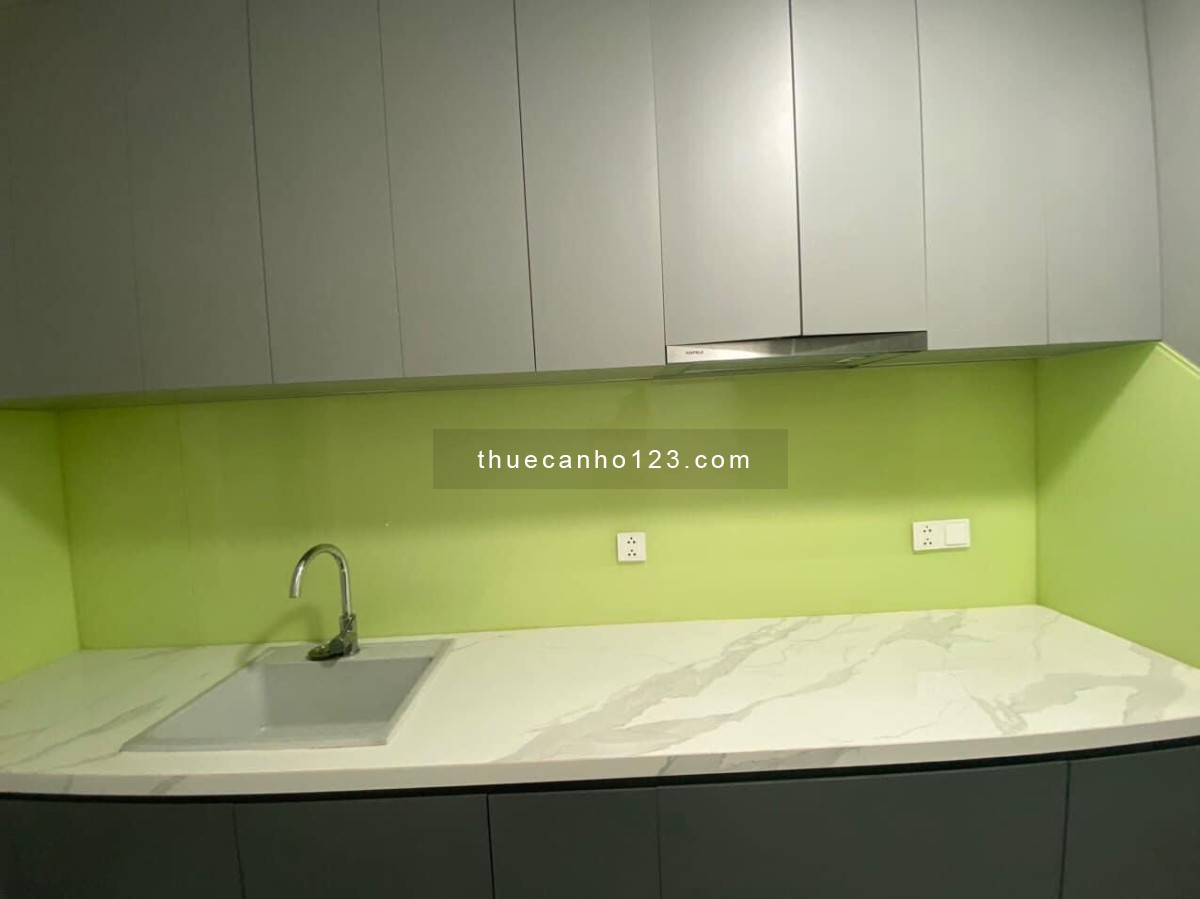 CĂN HỘ DIAMOND ALNATA CELADON CITY CHO THUÊ CĂN 2PN FULL NỘI THẤT