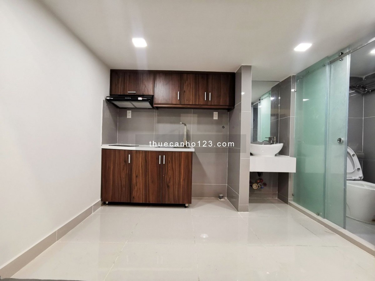 Cho thuê căn hộ duplex đầy đủ nội thất Huỳnh Tấn Phát, Q7, gần Phú Mỹ Hưng, Big C