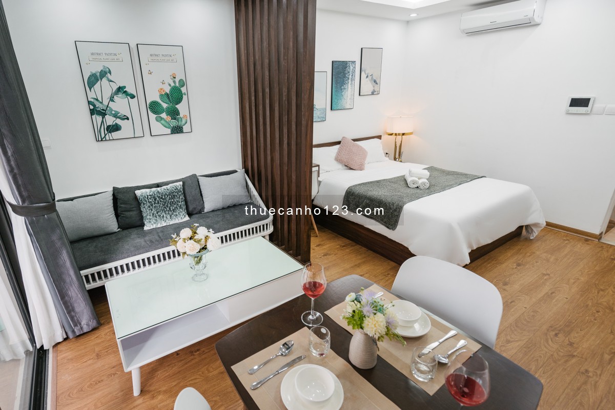 Chính chủ cho thuê Vinhomes D'Capitale: Căn Studio tầng 20 tòa C2, nhà mới, hướng đông nam