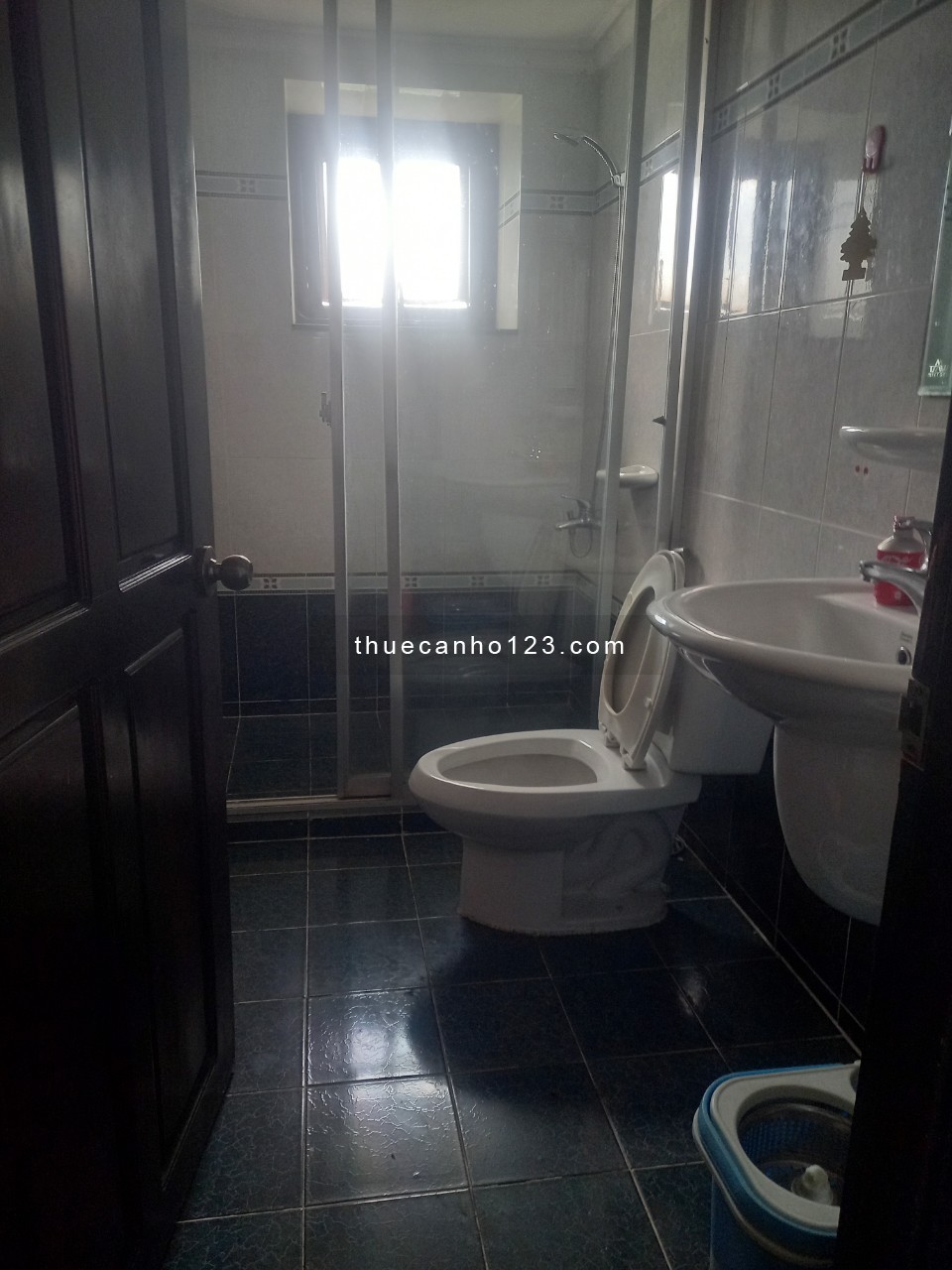 CHung cư An Phú Đông, P.An Phú Đông, Q12: 100m2, 2p ngủ, 2wc, Nt, giá 9tr