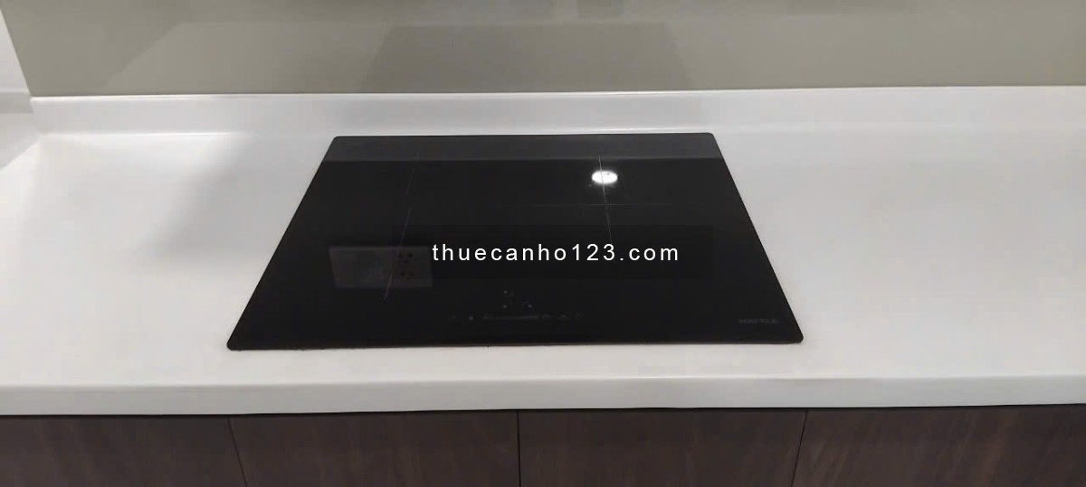 Cho thuê căn hộ celadon brillant 125m2 3pn 2 phòng kho 2wc 4 máy lạnh- giá 20 triệu