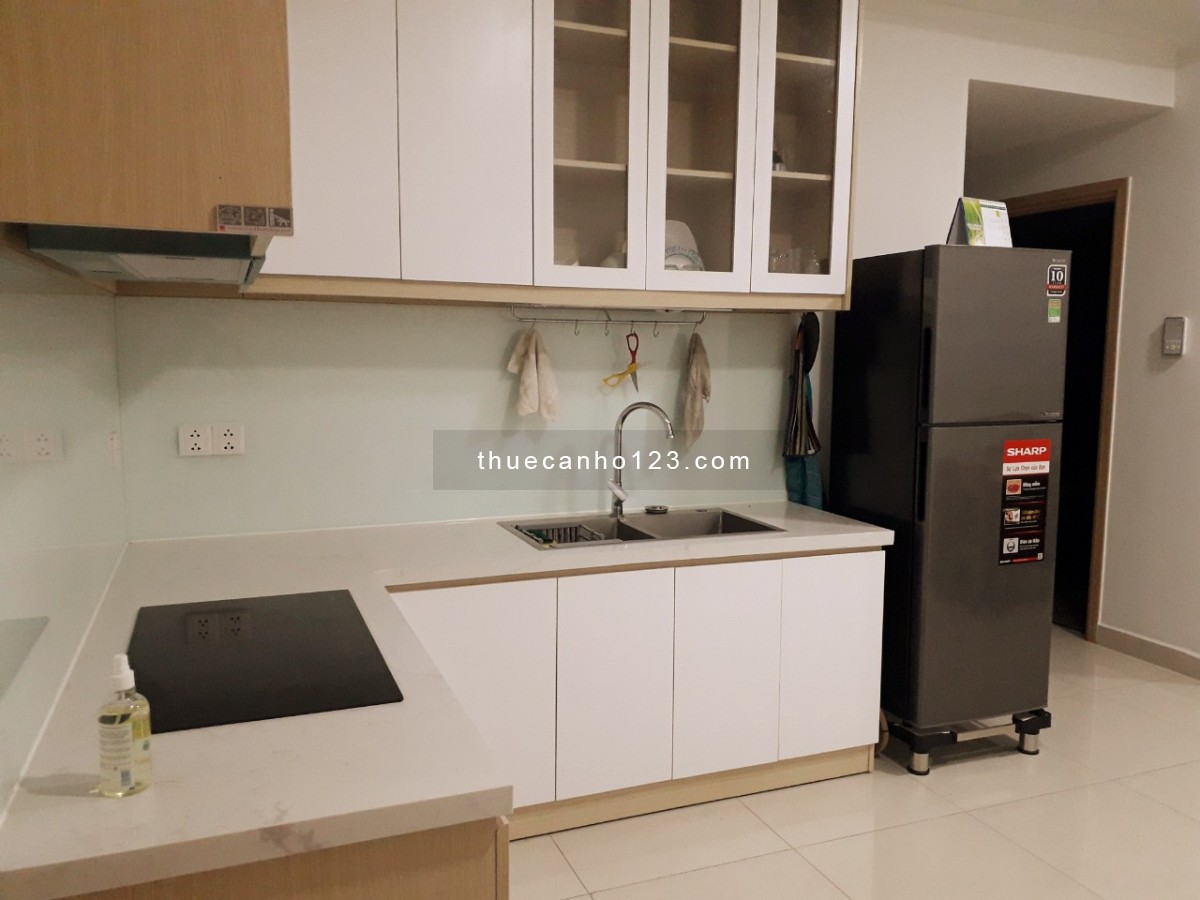 Emerald Celadon City cho thuê căn hộ 2PN 2WC full nội thất