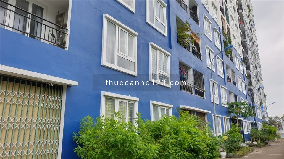 Cần cho thuê chung cư An Trung 2 (Blue House)