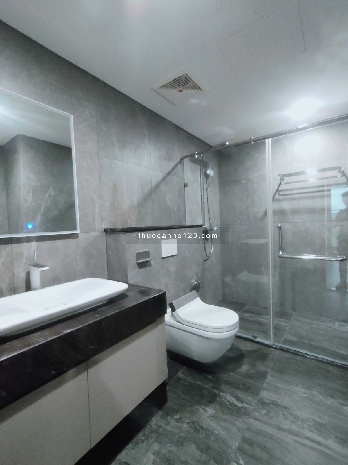 Sunshine Diamond River cho thuê 2 phòng ngủ, mới bàn giao, view đẹp, free phí quản lý.