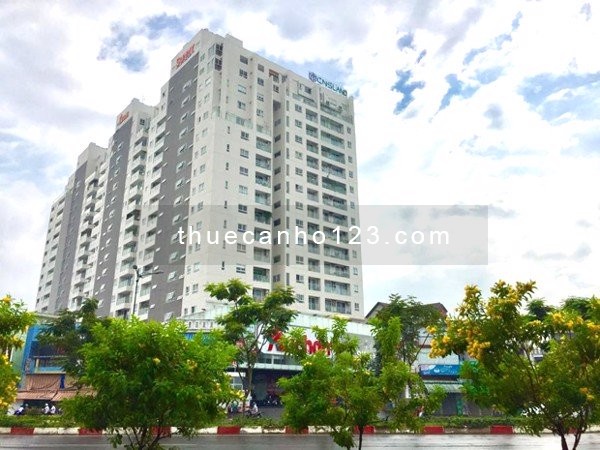 Cần cho thuê căn hộ 3 phòng ngủ tại Sunny Plaza Với 100m2, 3PN2WC, Nội thất đầy đủ, dọn ở liền