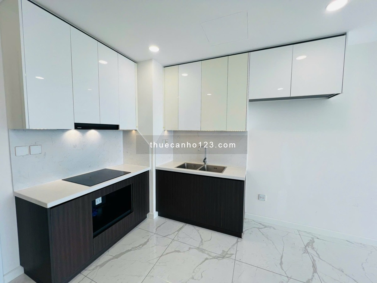 Căn hộ cho thuê 2 phòng ngủ, nhà đẹp, view liền kề Phú Mỹ Hưng tại Sunshine Sky City Q7 giá ưu đãi