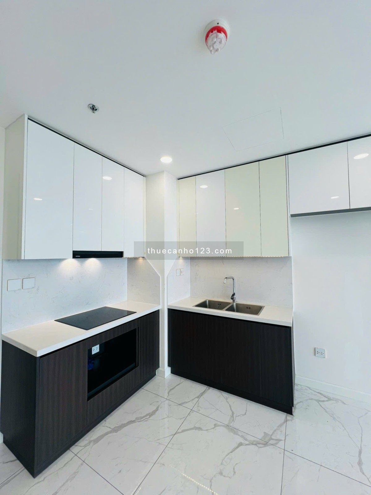 Căn hộ cho thuê 2 phòng ngủ, nhà đẹp, view liền kề Phú Mỹ Hưng tại Sunshine Sky City Q7 giá ưu đãi