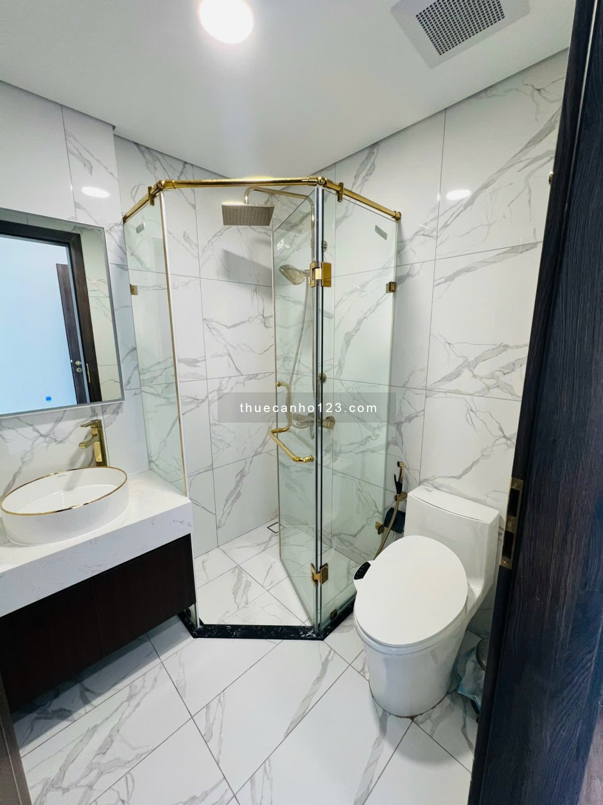 Căn hộ cho thuê 2 phòng ngủ, nhà đẹp, view liền kề Phú Mỹ Hưng tại Sunshine Sky City Q7 giá ưu đãi