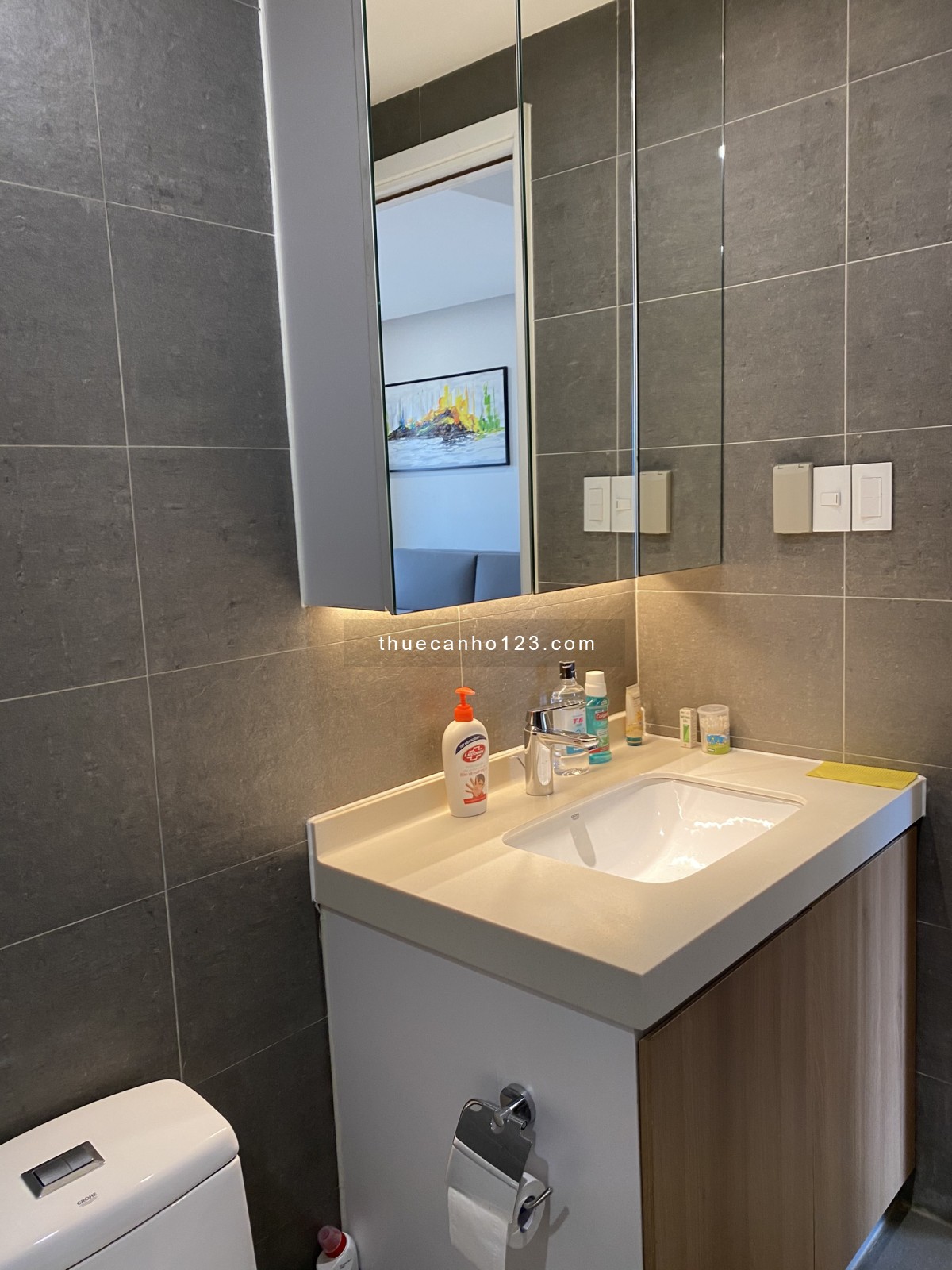 Cho thuê căn hộ cao cấp Republic Plaza - 1 Phòng ngủ riêng biệt, view đẹp/ Tel 0906.887.586