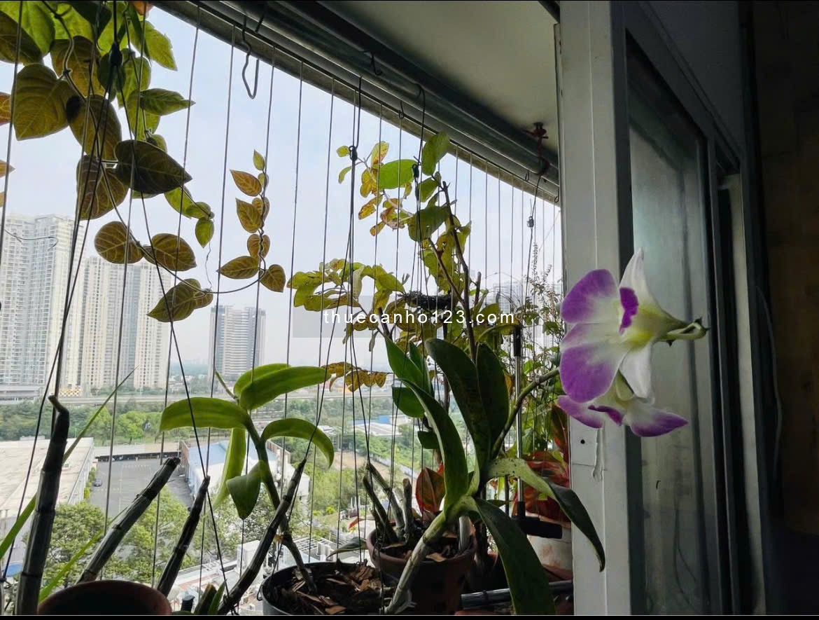 Chung cư Phú Thanh, 212 Thoại Ngọc Hầu, TP, 100m2, 3PN, 10tr/tháng.