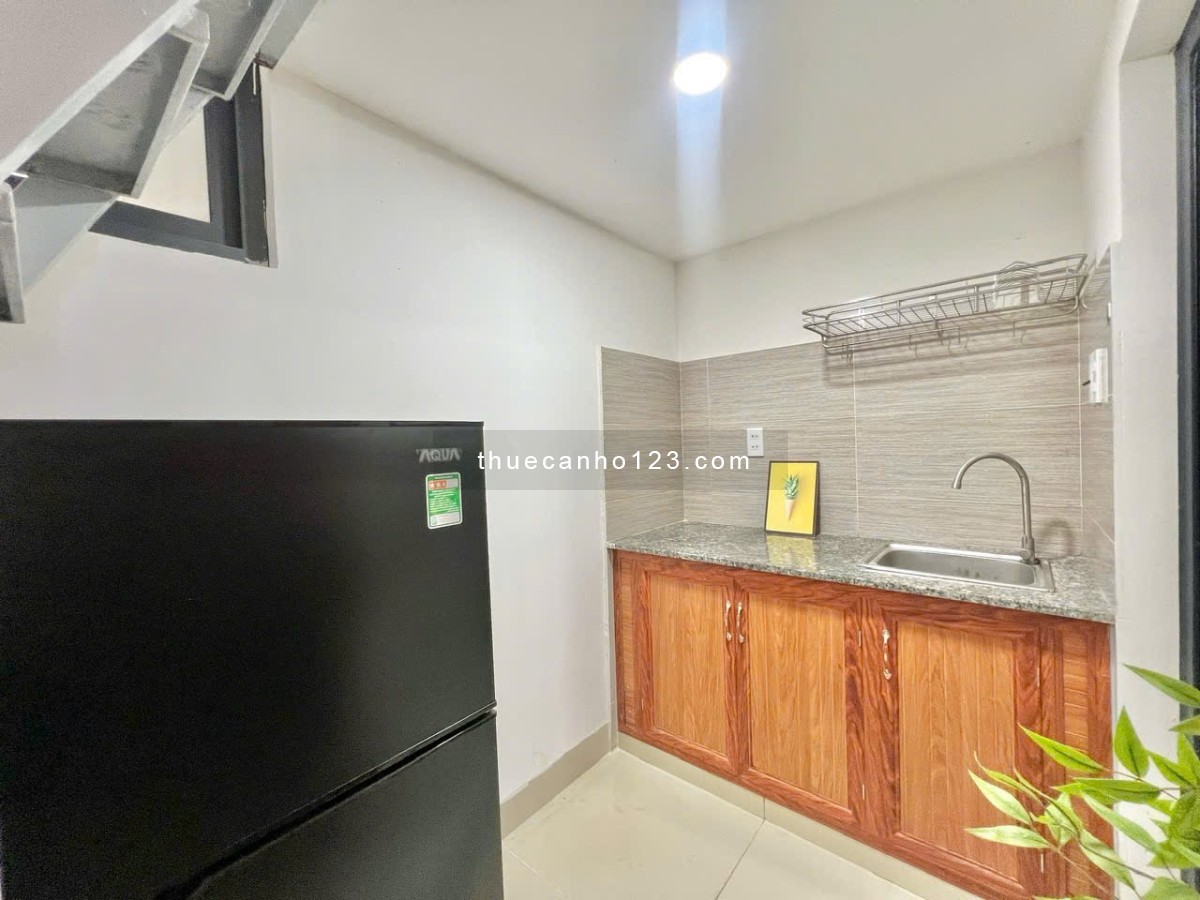 Cho thuê duplex - chợ Tân Mỹ - gần bệnh viện FV - Cresent Mart - Phú Mỹ Hưng Quận 7