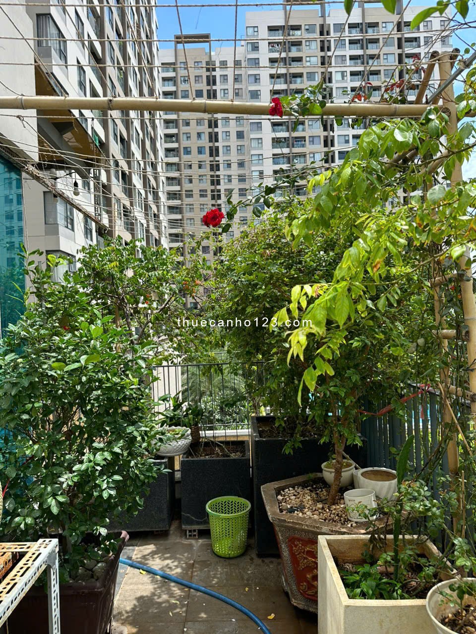 Sân Vườn Riêng Chỉ 14 triệu 80m Full NT thiết kế bao đẹp CH Akari CiTy Bình Tân.