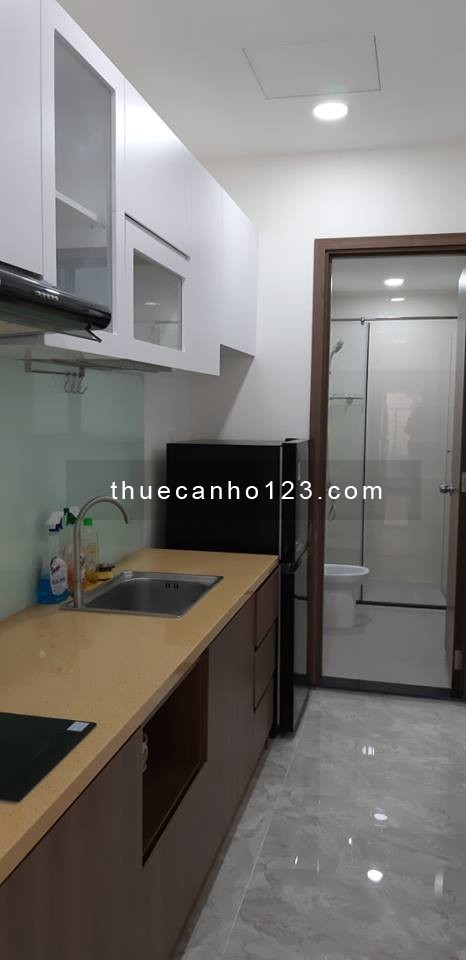 CĂN HỘ KINGSTON Studio nội thất y hình tầng 3 DT 34m2 chỉ 10 Triệu Tel 0906.887.586 Quân