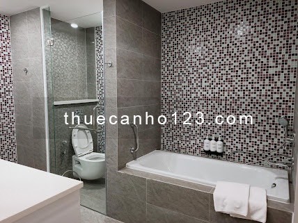 CĂN HỘ 2 Phòng Ngủ 70m2 REPUBLIC PLAZA đường Cộng Hòa/ Đầy Đủ Tiện Nghi/ TEL 0906.887.586 Quân